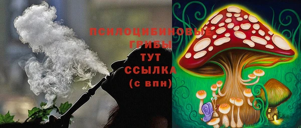 ГАЛЛЮЦИНОГЕННЫЕ ГРИБЫ Алексин