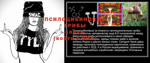 дживик Алексеевка